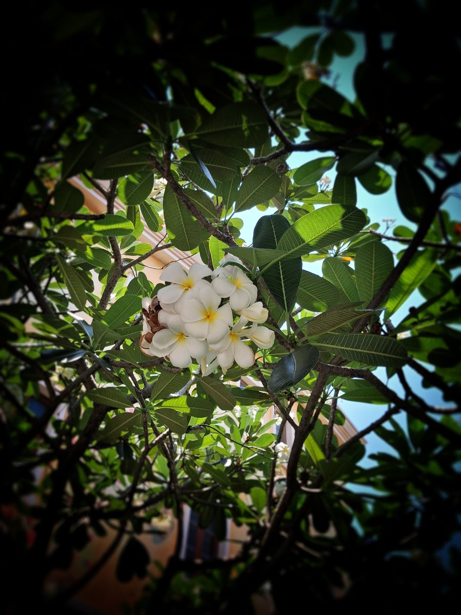 Loetitia Truong tweet media