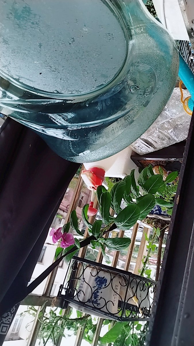 TopGamesNow tweet media