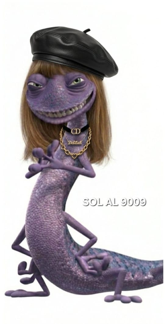 flashmvd tweet media