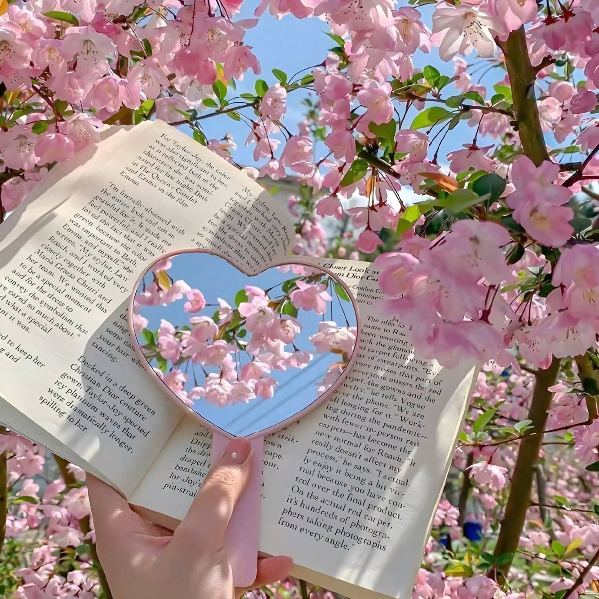 Aesthetics tweet media