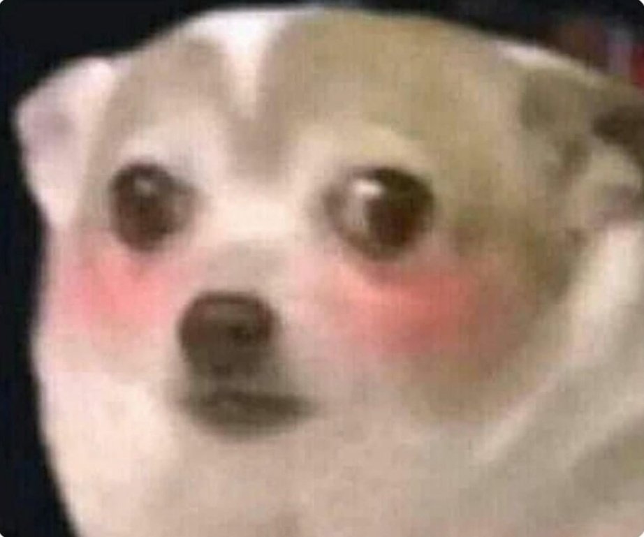 Ledezmismo tweet media