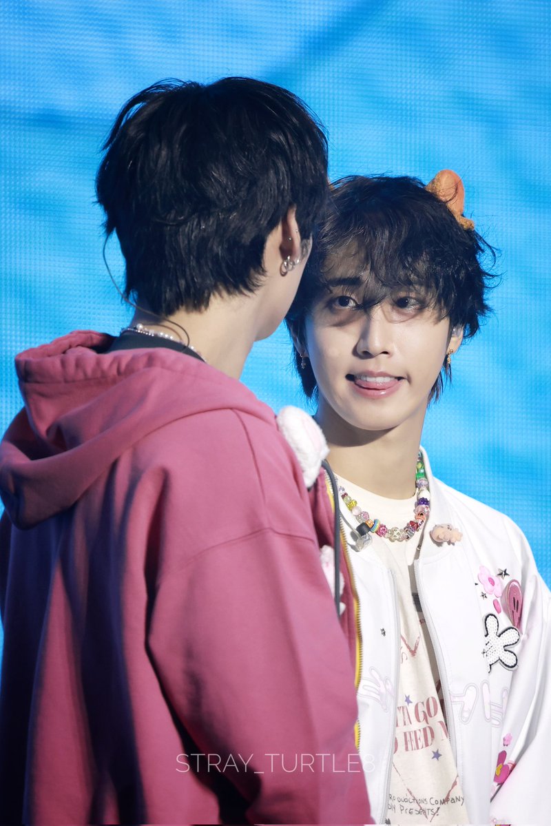 ˢᵗʳᵃʸ ᵗᵘʳᵗˡᵉ tweet media