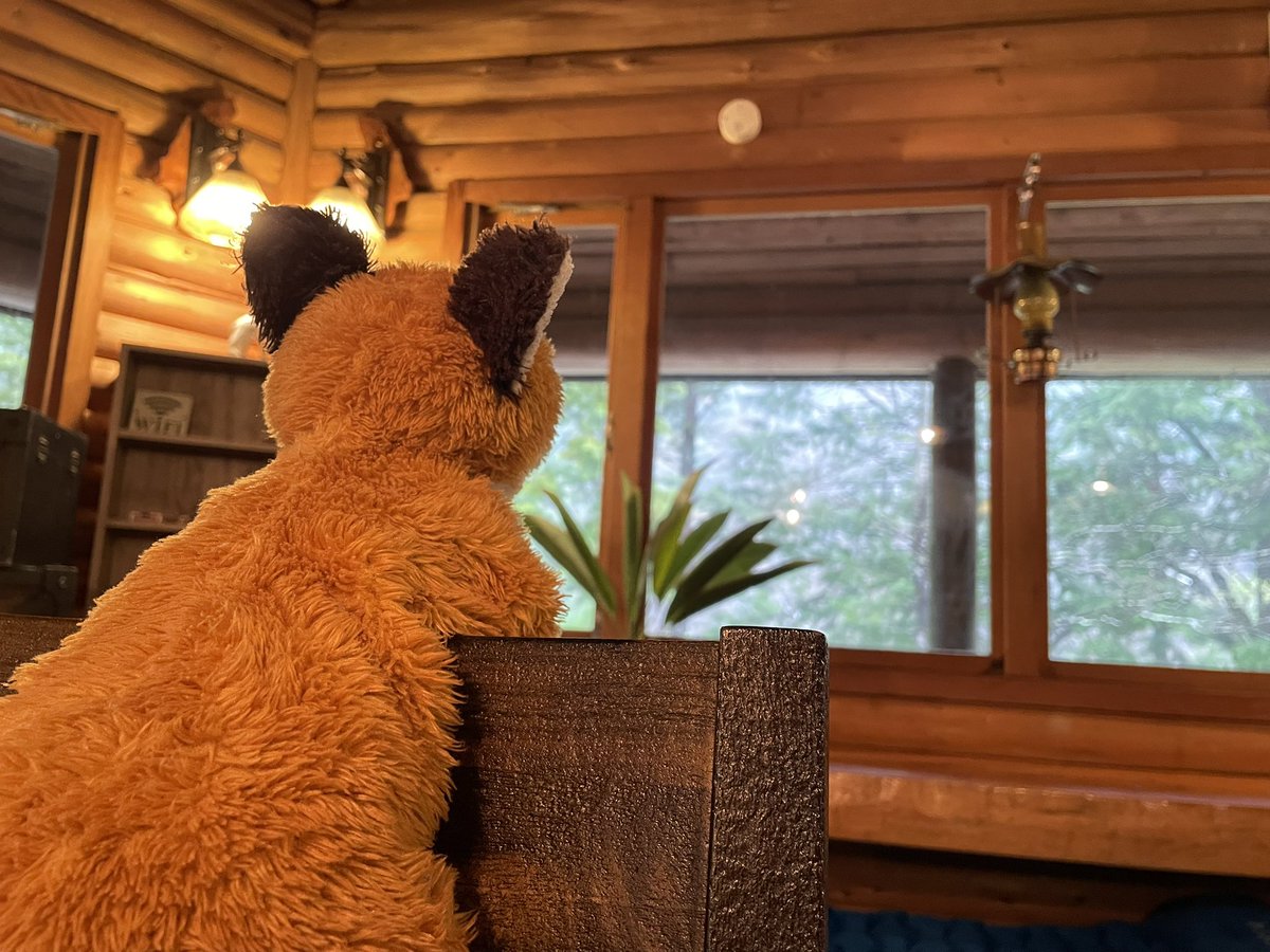 コリー tweet media