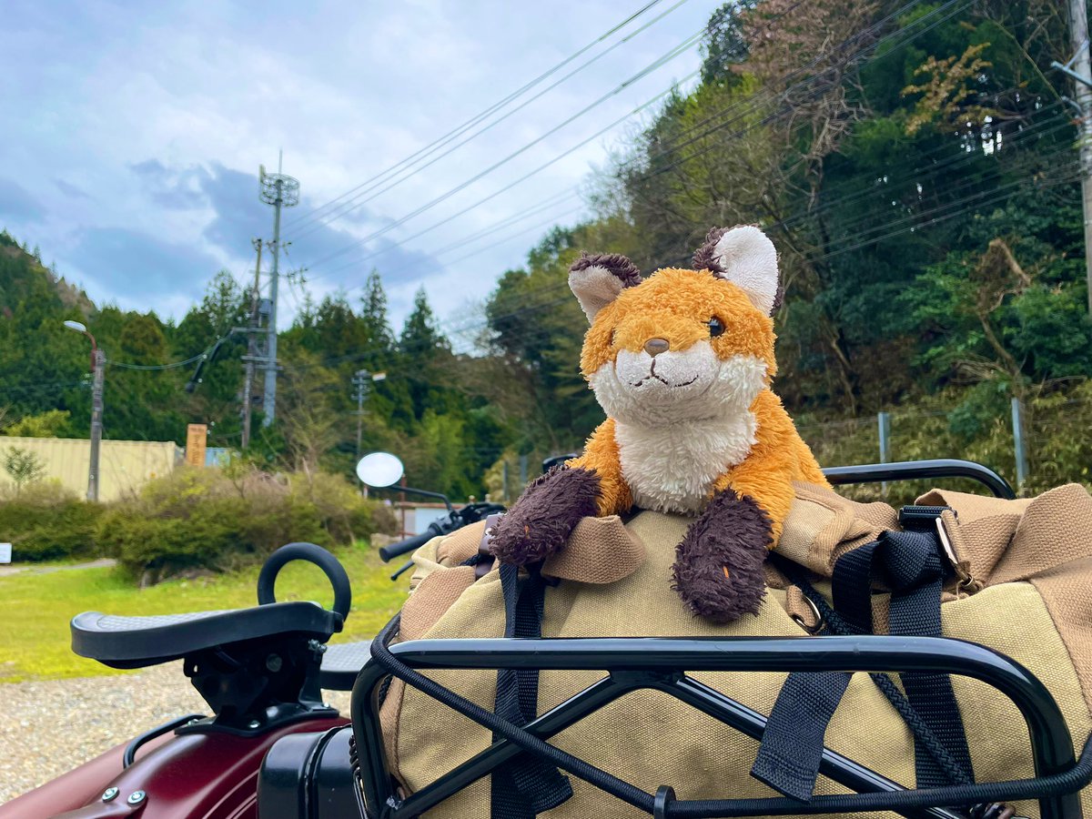 コリー tweet media