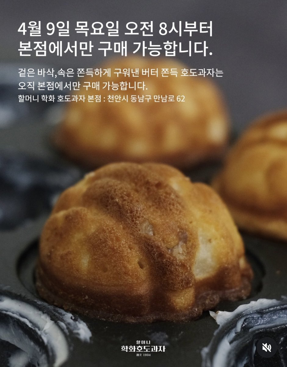 해꼬 tweet media