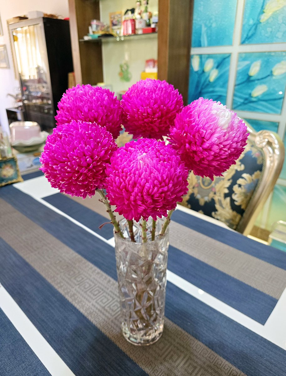 Jenni Andrea tweet media