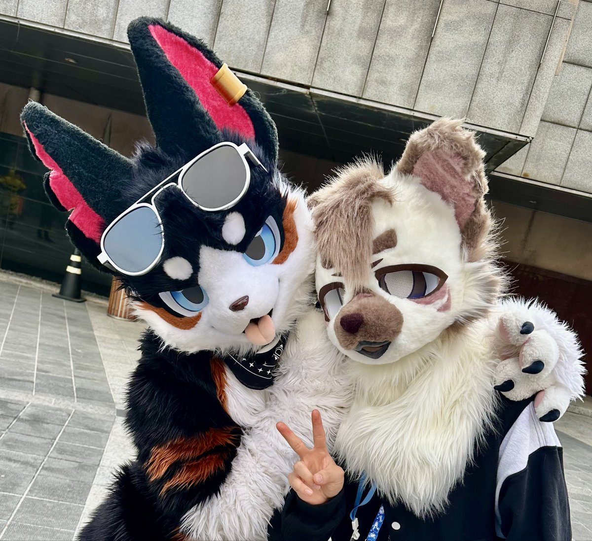 TUNA🐶🐟 tweet media