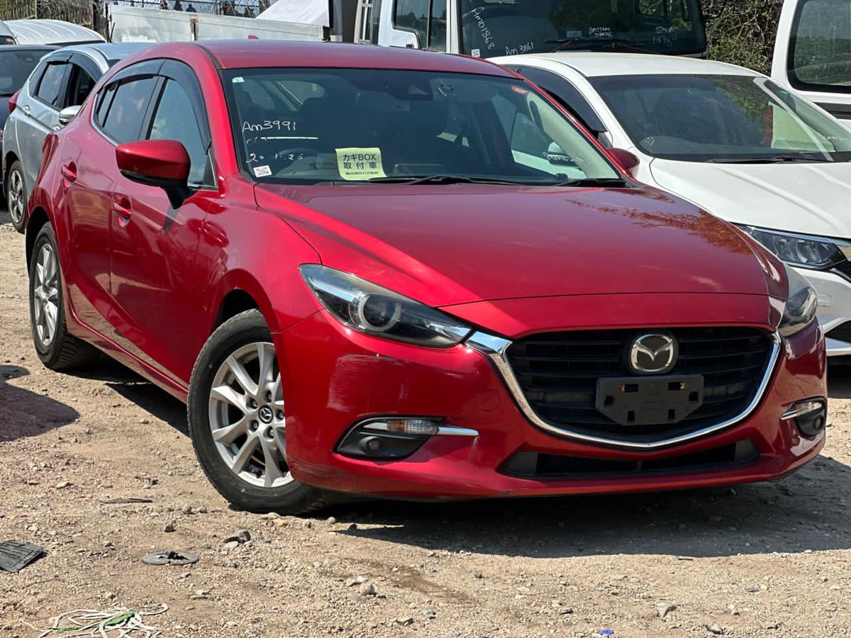 clearing Agent Beitbridge tweet media