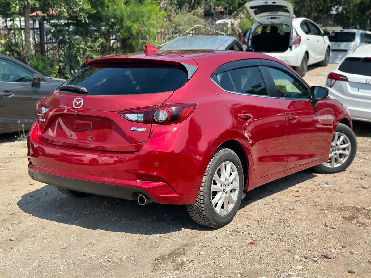 clearing Agent Beitbridge tweet media