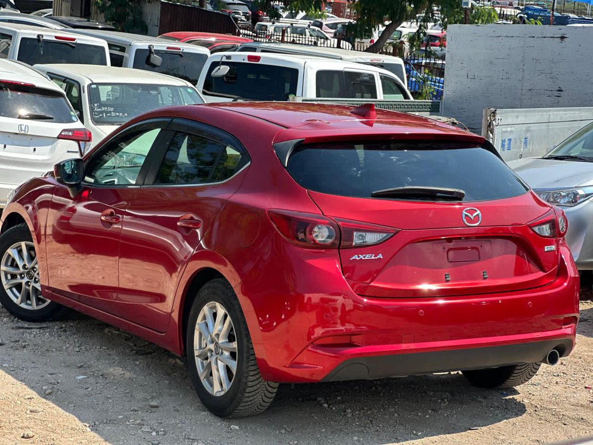 clearing Agent Beitbridge tweet media