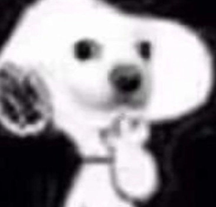 Cassy ≧ᴗ≦ tweet media