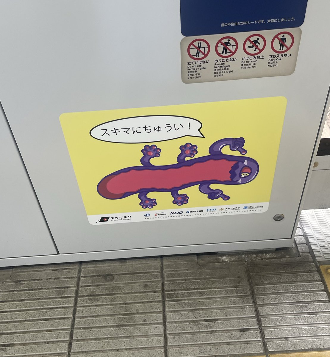 椿りか AV女優 tweet media