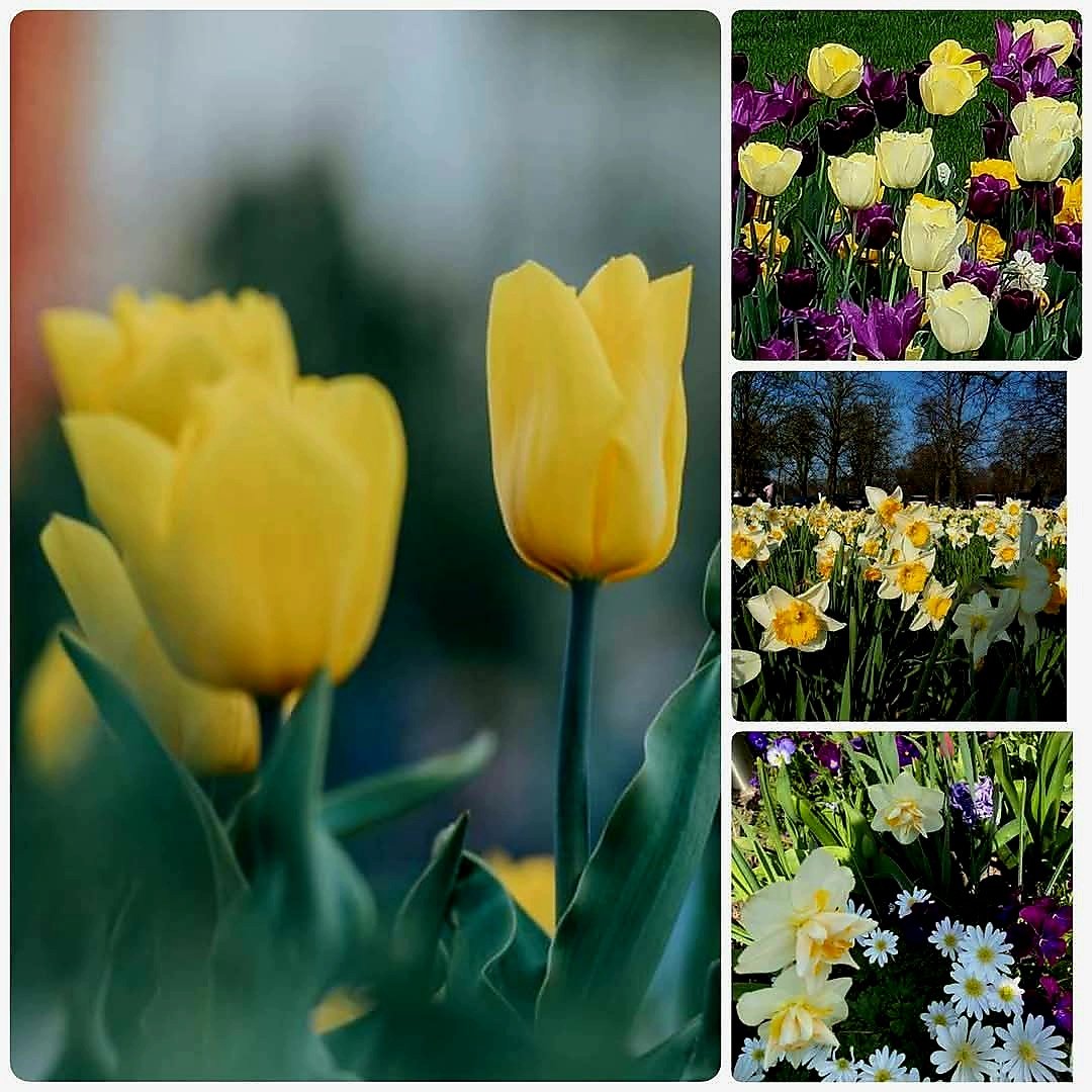 valentina tweet media