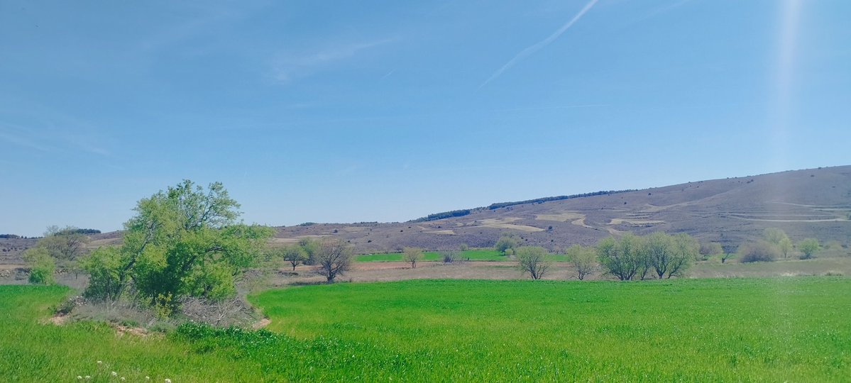 Roberto Baila (Also on #Bluesky) tweet media