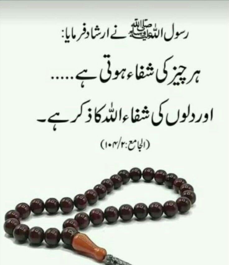 Raͥffͣuͫgar ❤️‍🩹سالار سکندر🌹بادیانِ وفا tweet media