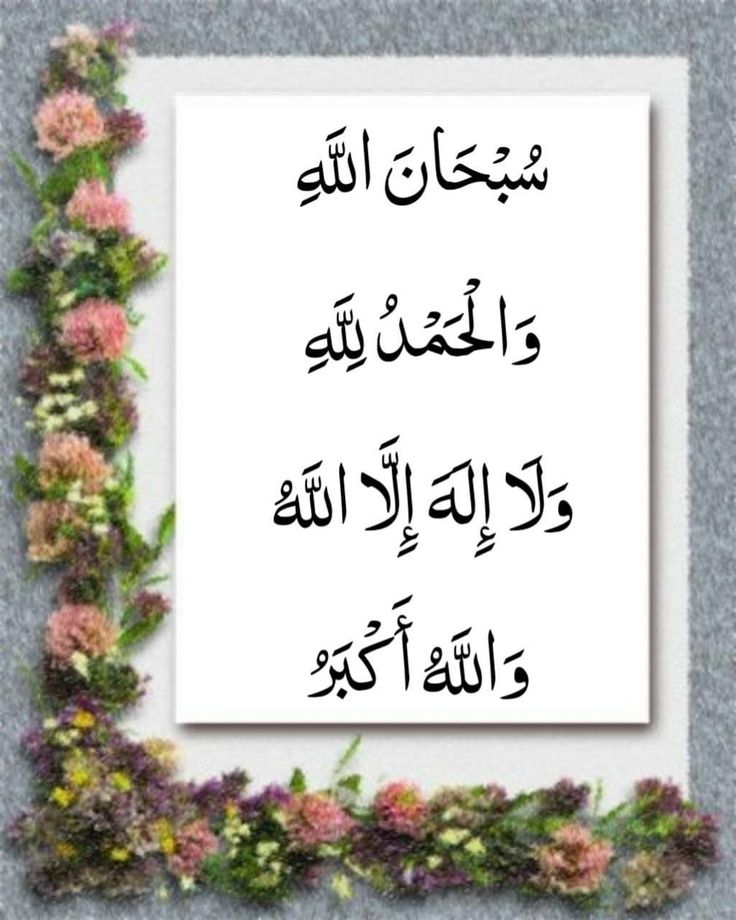 Raͥffͣuͫgar ❤️‍🩹سالار سکندر🌹بادیانِ وفا tweet media