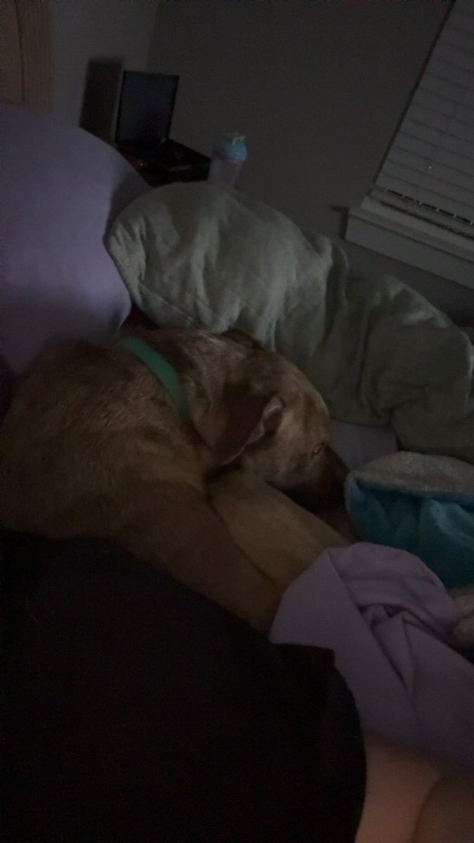 Time for some sleeps after an amazing evening!! Huge shout out to <a href="/lilithomen/">Lilith Omen</a>  thank you for popping in with your community to say hi made my whole day 🥺🥺
Stay safe, stay creepy, and catch ya  guys tomorrow for my first killa stream 🫣🫣