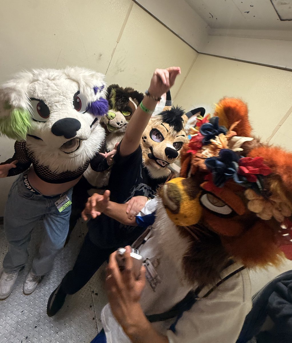 Kino 🔜 FWA tweet media