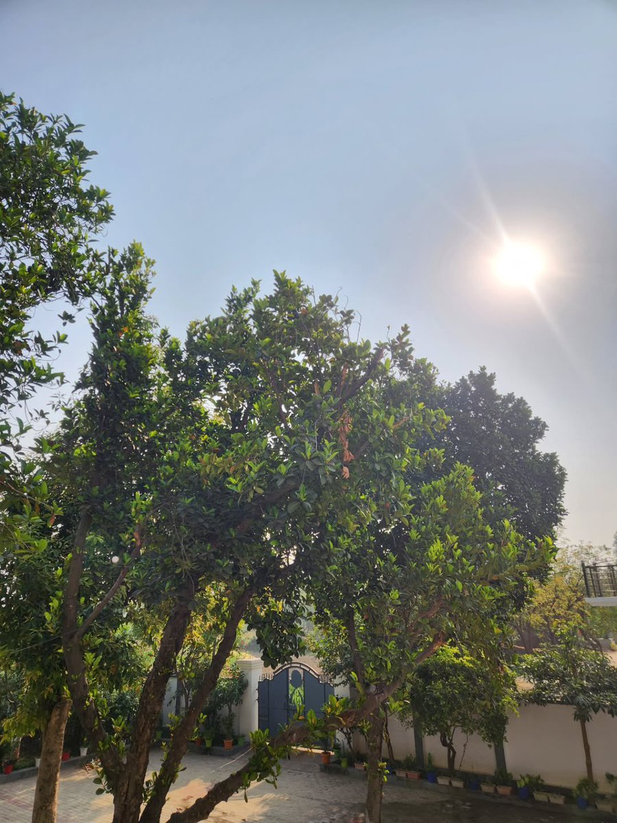 Zeto Aura tweet media