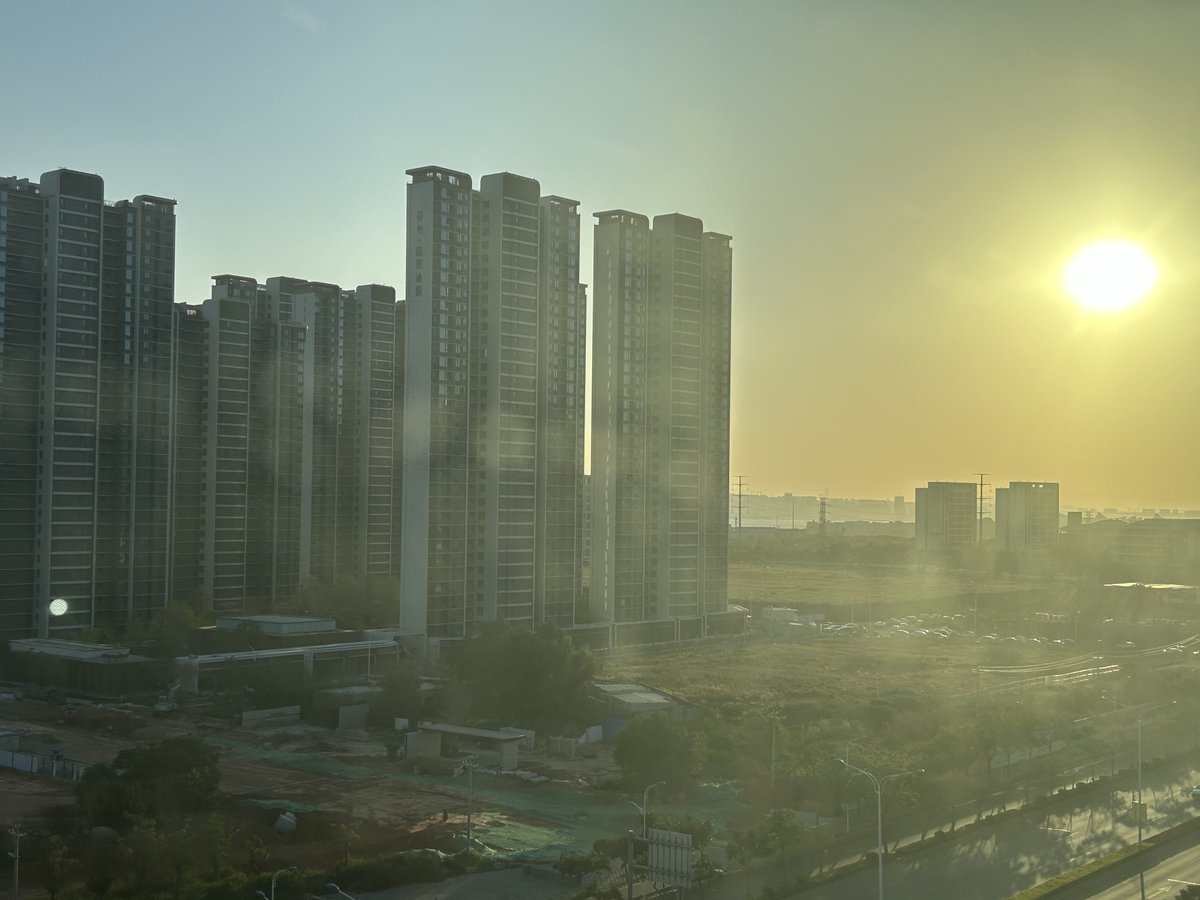 Training for MMA tweet media