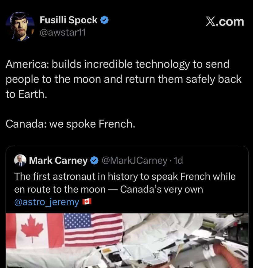 Chadimir Poutine 👨 🐻 🐷 tweet media