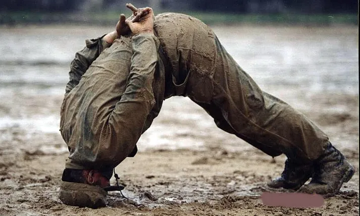 치타치타 tweet media