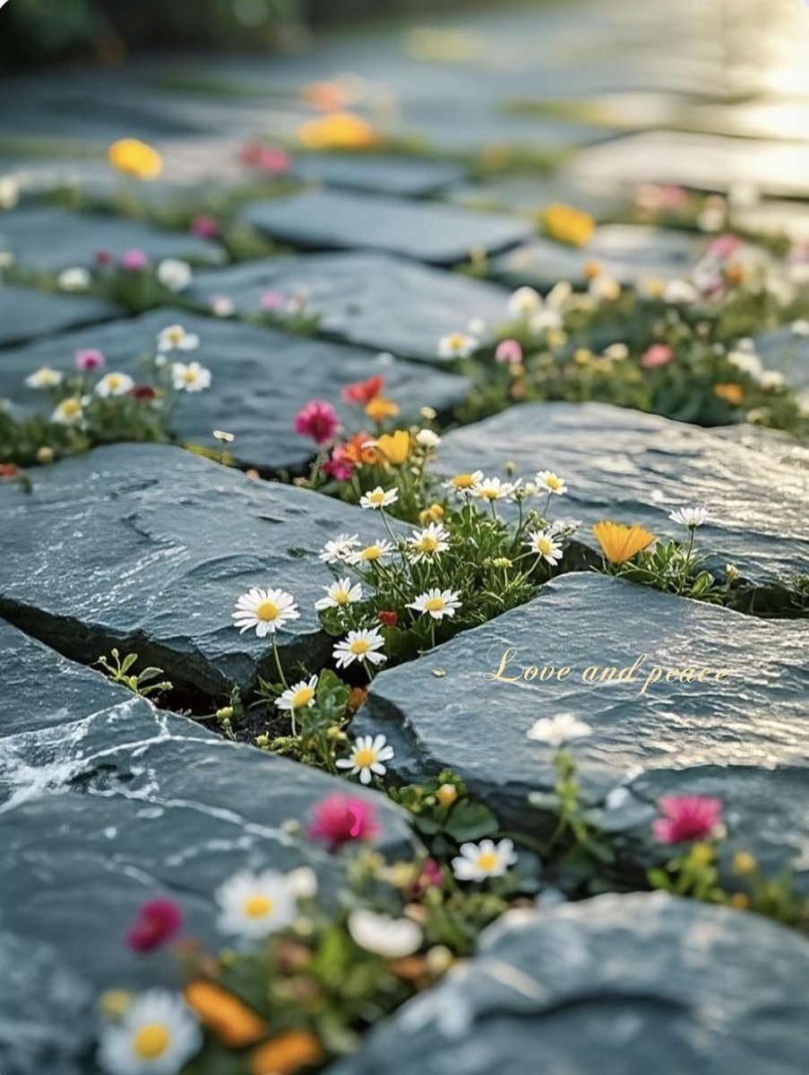 Nietzondermij's tweet image. 🐻💐🐻

The ultimate good in life
is the nearess of  God
#TrustGod