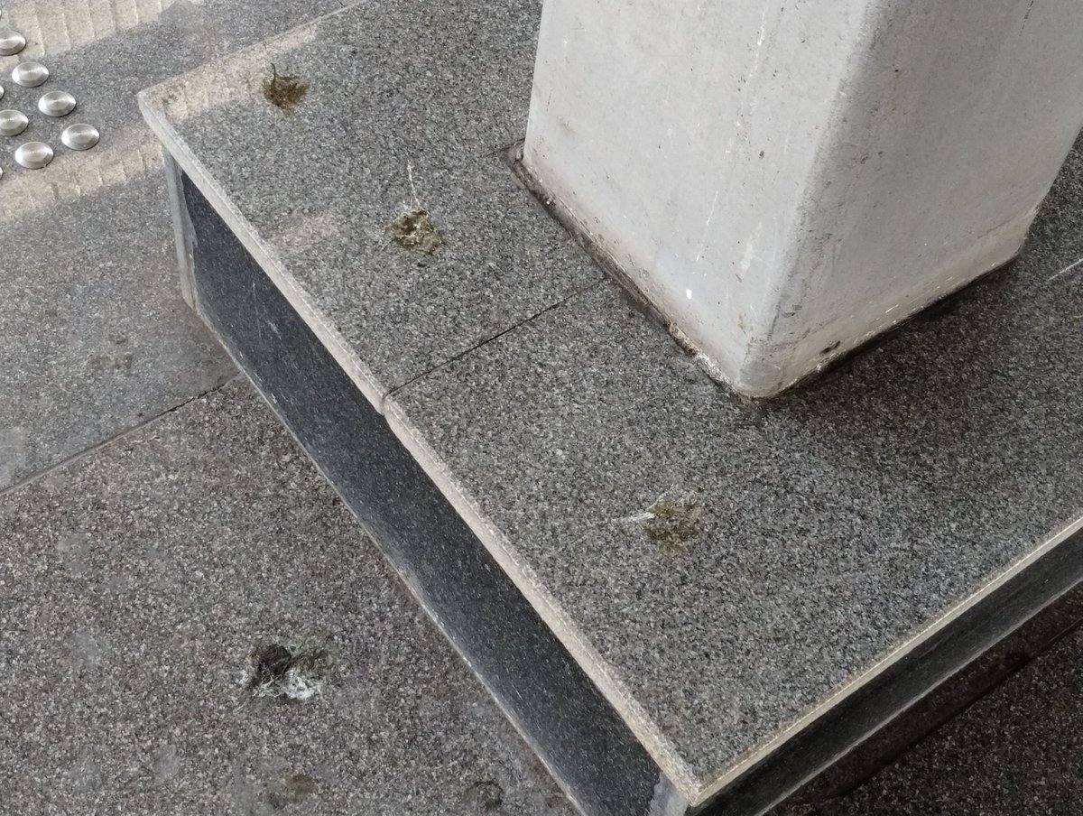 24adithya's tweet photo. @metrorailpune @MetroPuneri The metro stations are generally clean but I'm seeing pigeon droppings and no cleaning. This is Vanaz station. It would be good to clear this and get rid of the pigeons before it aggravates! #metro #punemetro https://t.co/txioJw88TQ