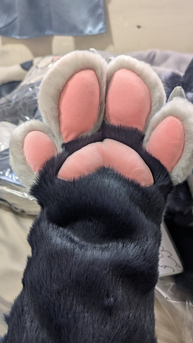 丹波( Dumbo ) & 秋葵( Fallkui ) 🔜2026？ tweet media