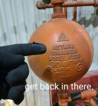 Expose the nose tweet media