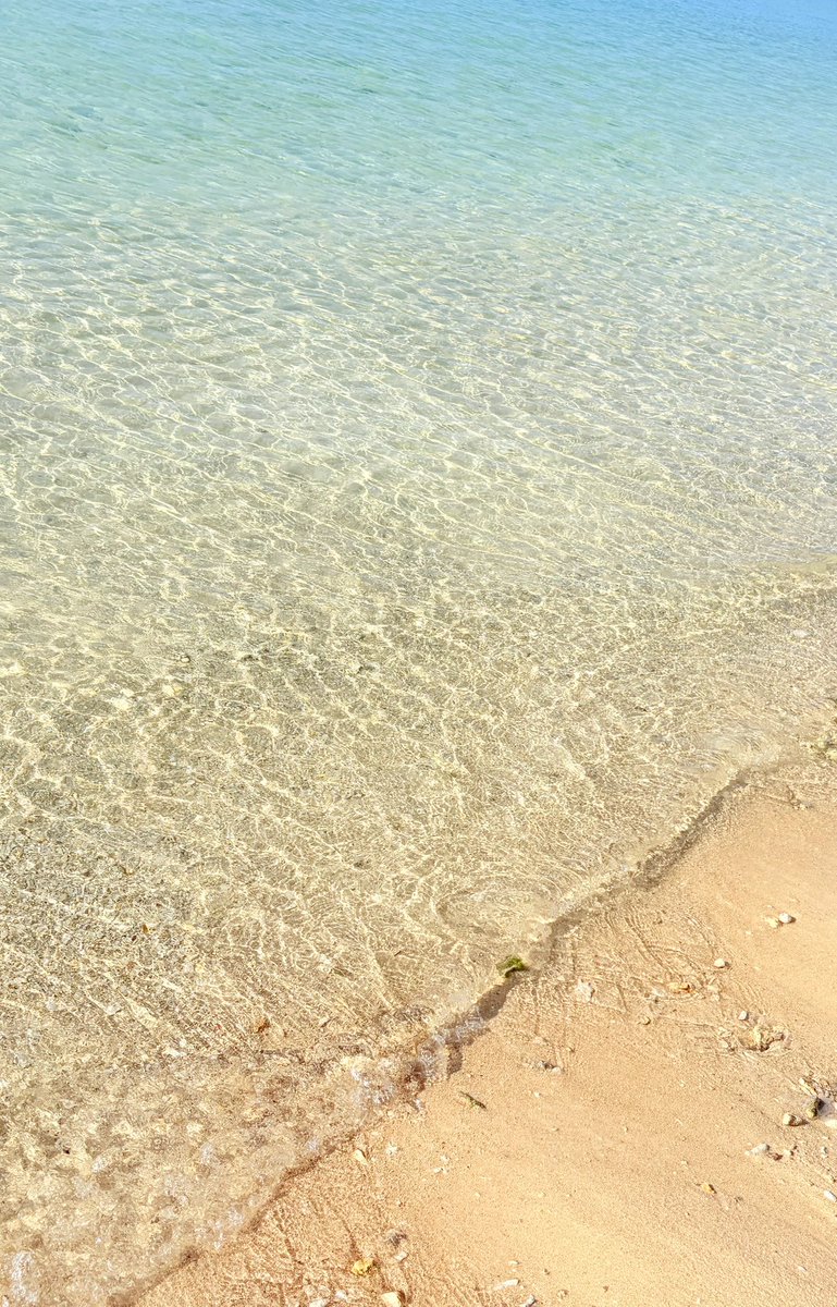 あまち tweet media