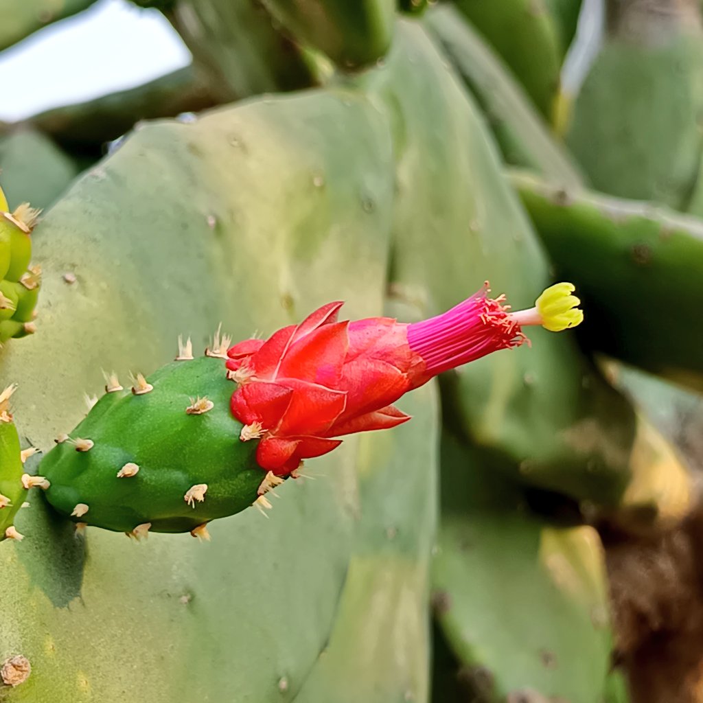 niileshraichura's tweet image. Quote a pic showcasing colours.