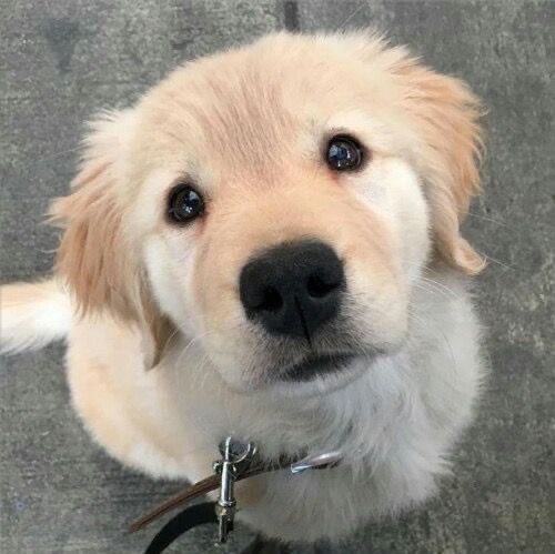 𝗕𝗹𝘂𝗲𝗯𝗲𝗿𝗿𝘆 𝗖 𓍯𓂃₊ tweet media