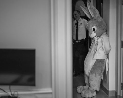 Emma Blake ATX || SF tweet media