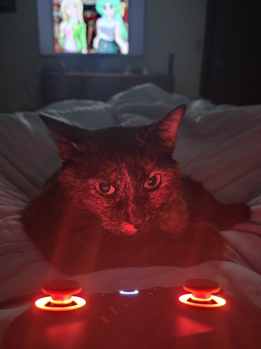 Chiester 67 tweet media