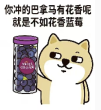 Chen Zhang tweet media