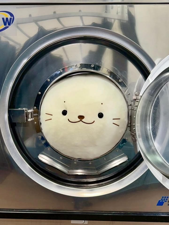 ネットで洗濯.com【大切な１点を任せられるクリーニング店】 tweet media