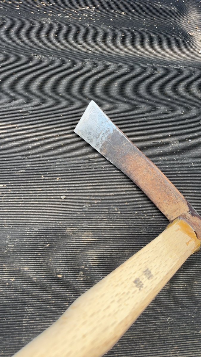 yasu@ジェネティクス社畜改良事業団 tweet media