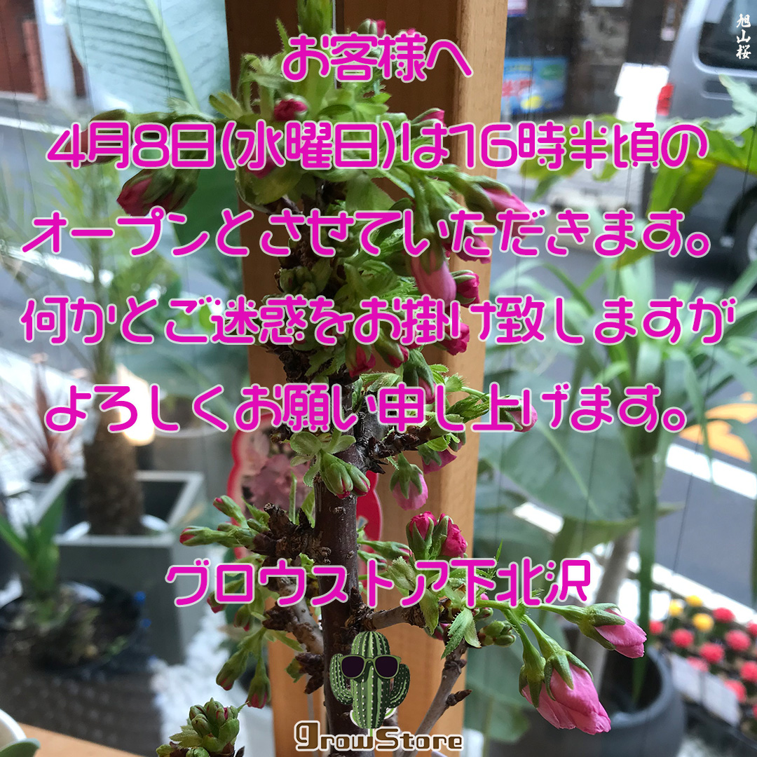 growstorejp's tweet photo. https://t.co/s2dfZ0EKgH