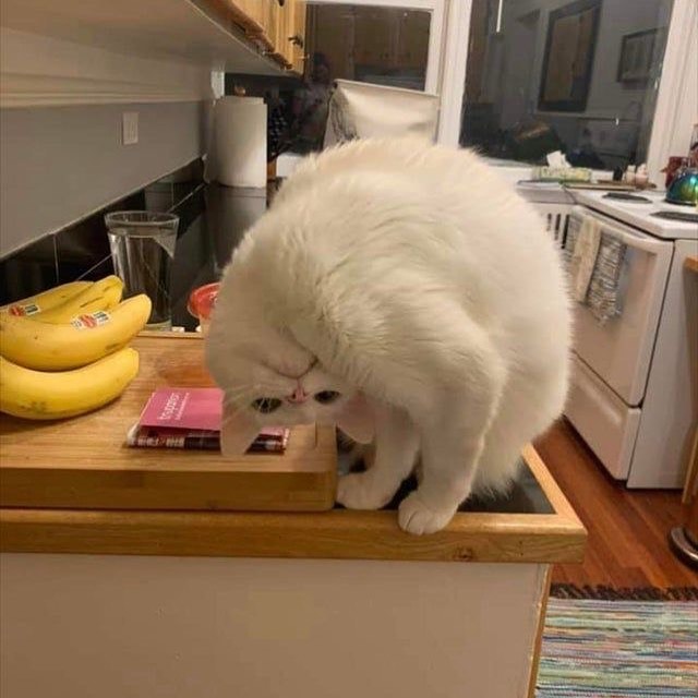 ευσεβής🛡️πόθος tweet media