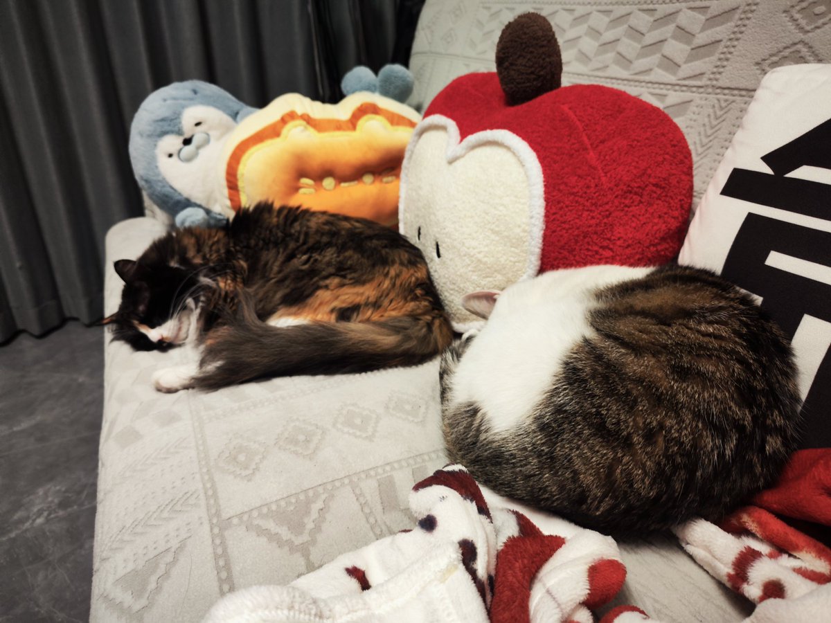 锅鱼菌Makiko tweet media