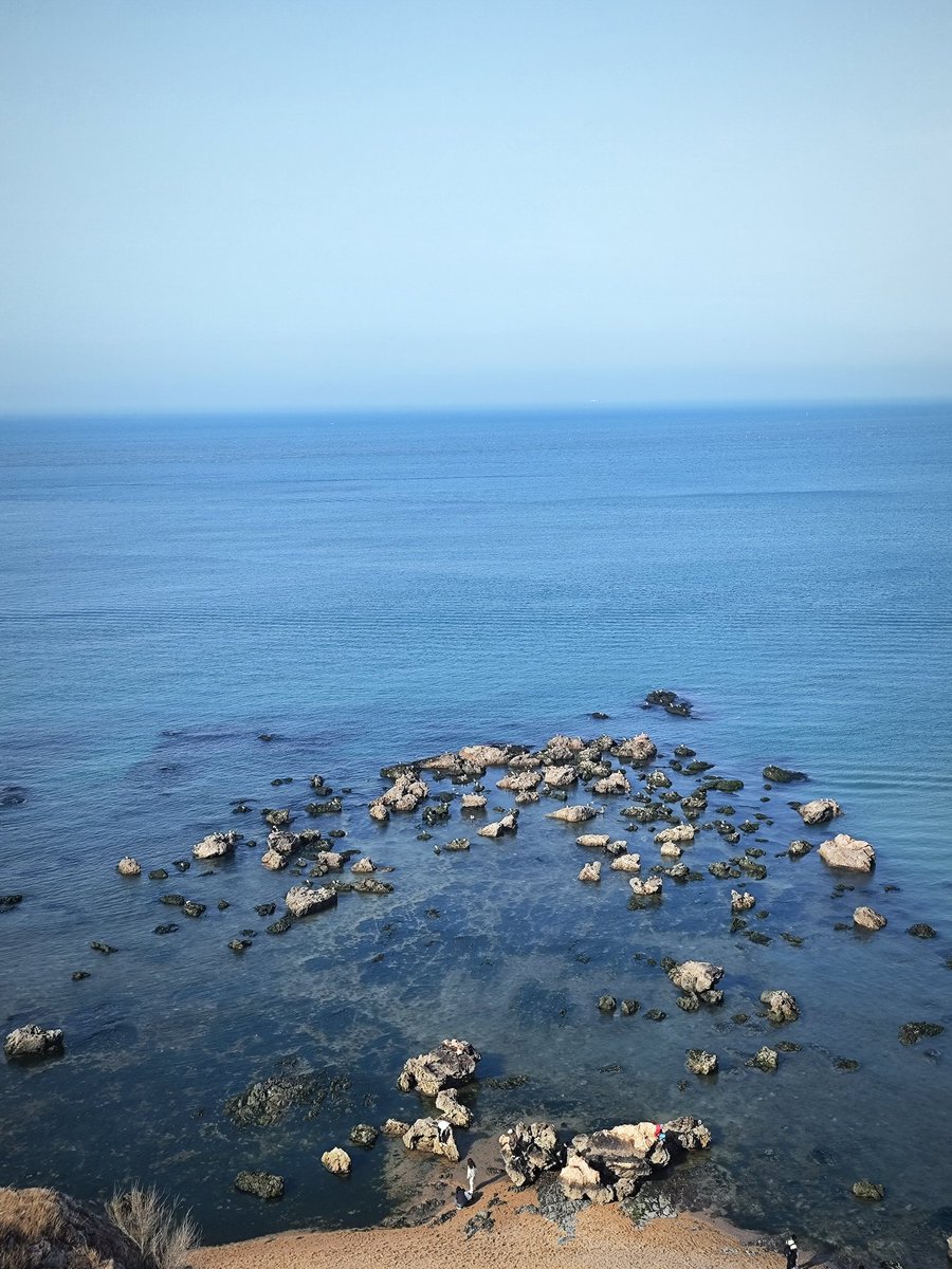 锅鱼菌Makiko tweet media