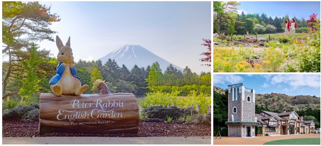 「ピーターラビット™ イングリッシュガーデン」 富士芝桜まつりと同時に4/11(土)開園！ prtimes.jp/main/html/rd/p…