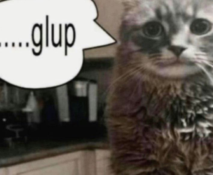 мαℓℓιє ᵔ𐃷ᵔ tweet media