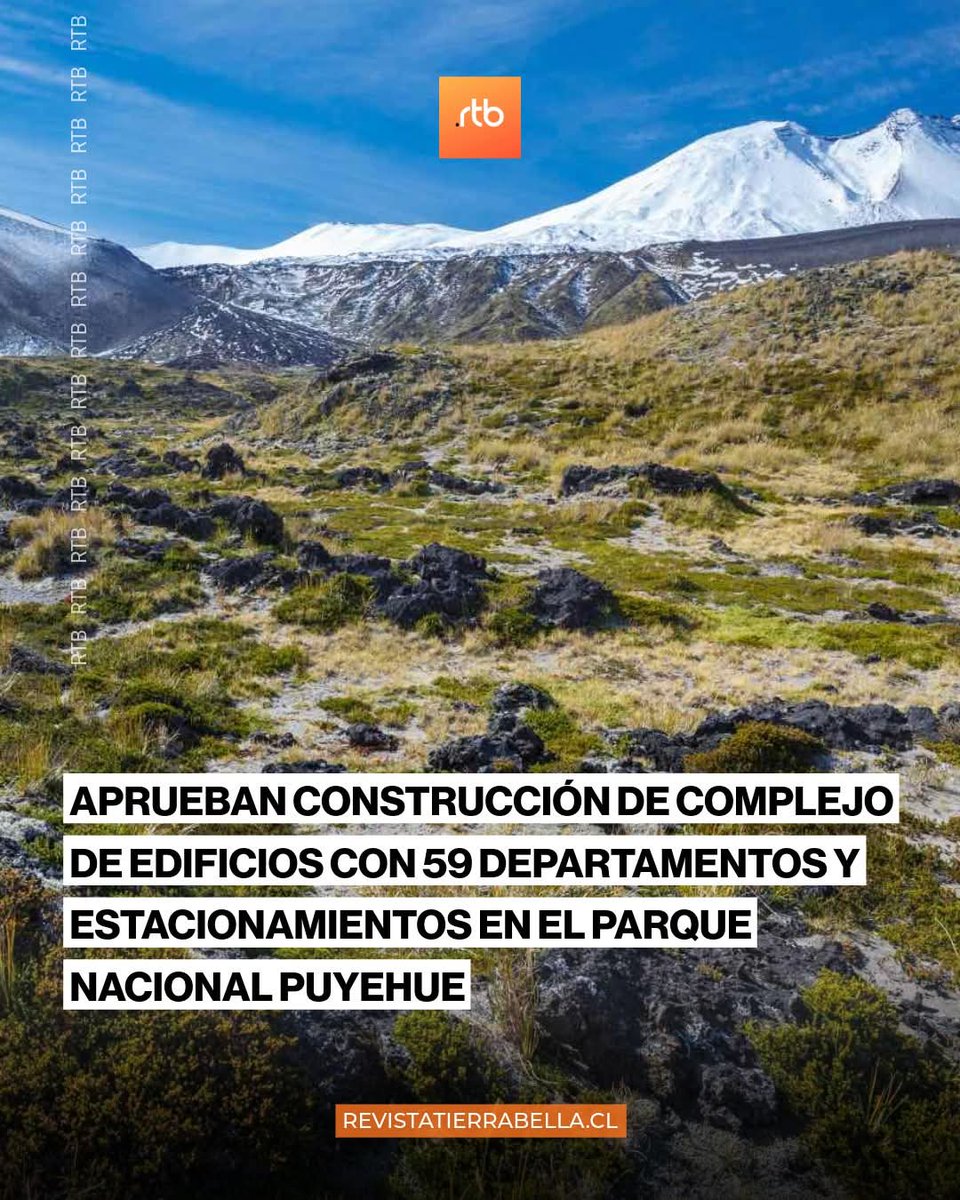 cristian leporati tweet media