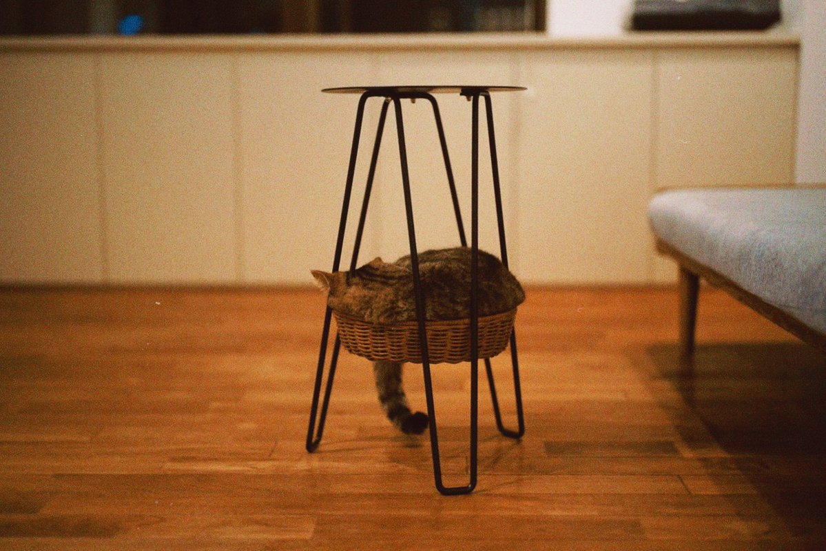 溢れている
愛おしい