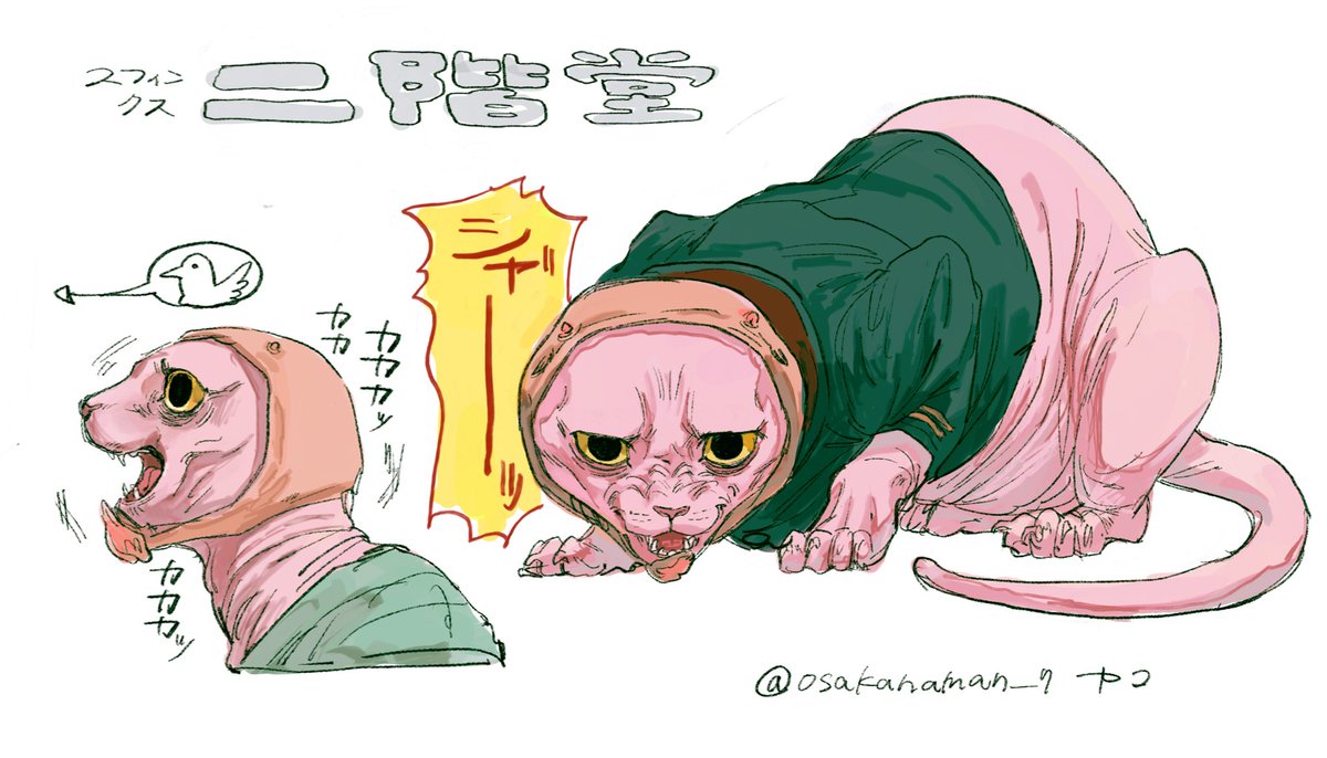 ʏᴀᴋᴏ tweet media