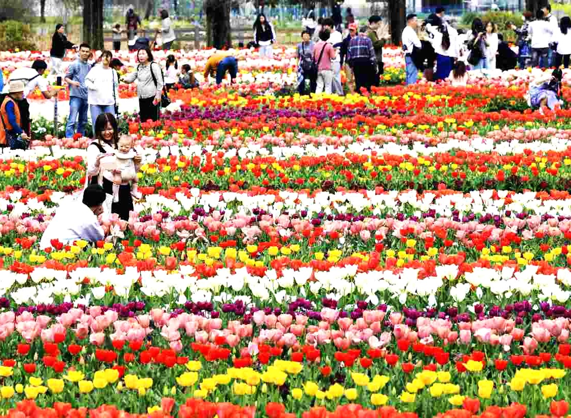 FLORACIÓN DE TULIPANES EN EL PARQUE AKEBONOYAMA EN CHIBA

Los tulipanes están en plena floración en el Parque Agrícola de Akebonoyama, en Kashiwa, prefectura de Chiba. Alrededor de 160.000 bulbos florecen en una variedad de colores.

instagram.com/p/DW0UAiiFj0J/