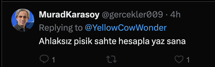 Harun Tan (blue check) tweet media