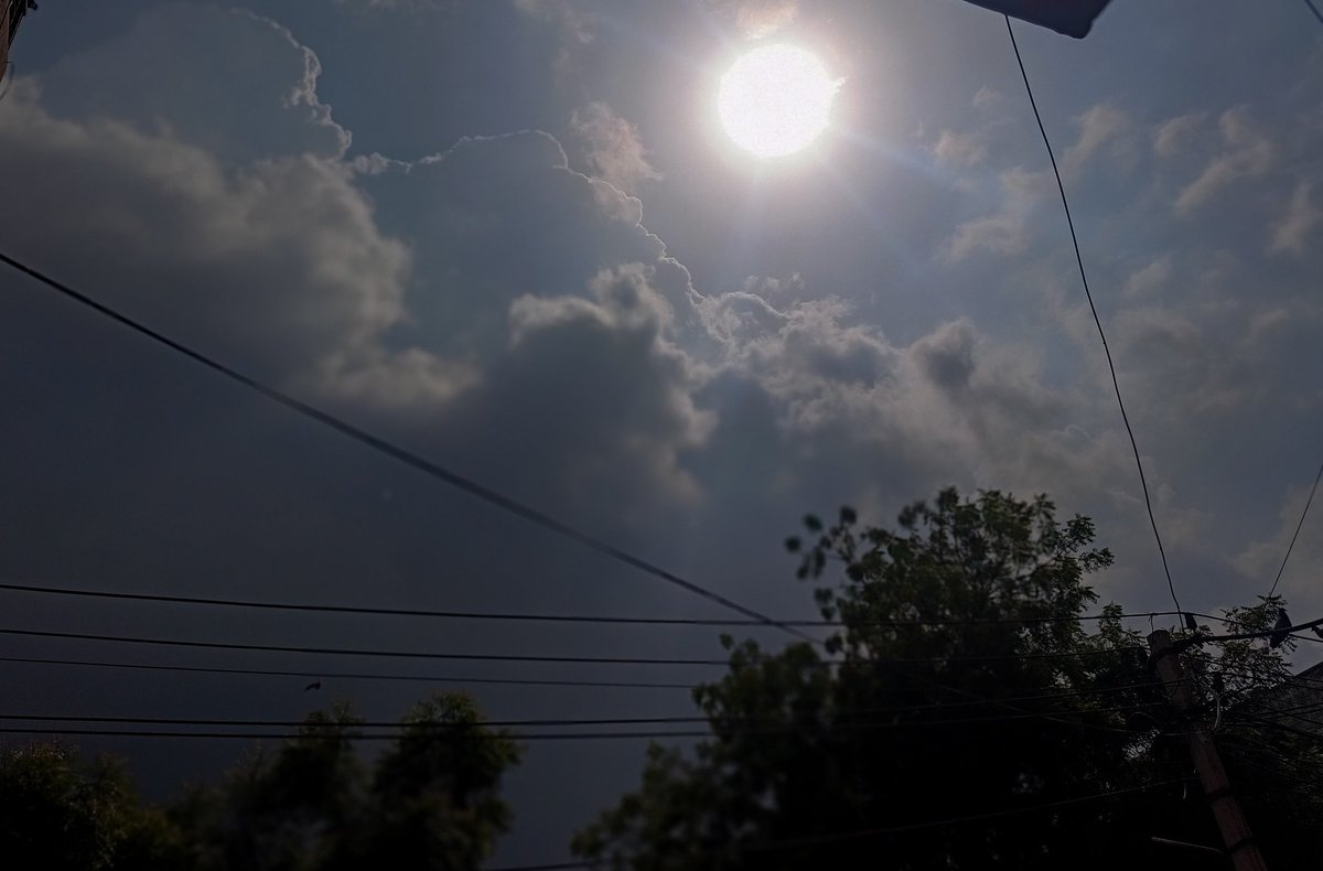 Tweet Chor👑 tweet media